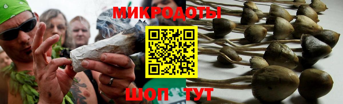 Галлюциногенные грибы MAGIC MUSHROOMS Ирбит